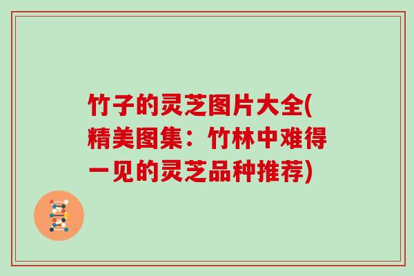 竹子的灵芝图片大全(精美图集：竹林中难得一见的灵芝品种推荐)