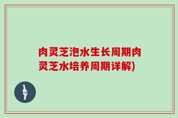 肉灵芝泡水生长周期肉灵芝水培养周期详解)