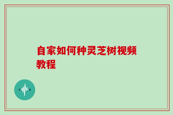自家如何种灵芝树视频教程