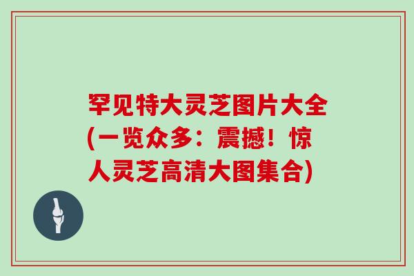 罕见特大灵芝图片大全(一览众多：震撼！惊人灵芝高清大图集合)