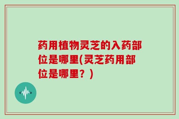 药用植物灵芝的入药部位是哪里(灵芝药用部位是哪里？)