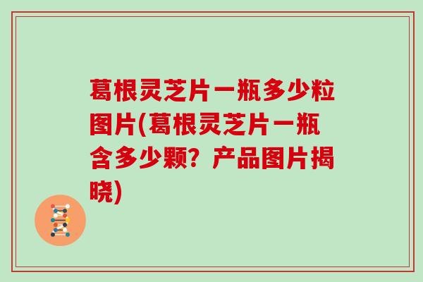 葛根灵芝片一瓶多少粒图片(葛根灵芝片一瓶含多少颗?产品图片揭晓)-第1张图片-灵芝大师 葛根灵芝片一瓶多少粒图片(葛根灵芝片一瓶含多少颗?产品图片揭晓)-第1张图片-灵芝大师