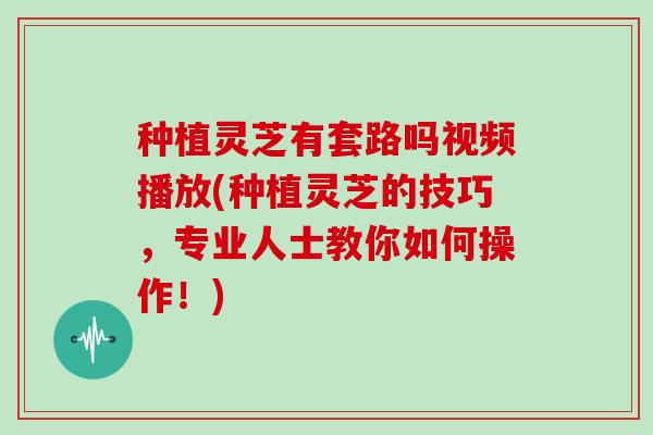 种植灵芝有套路吗视频播放(种植灵芝的技巧，专业人士教你如何操作！)