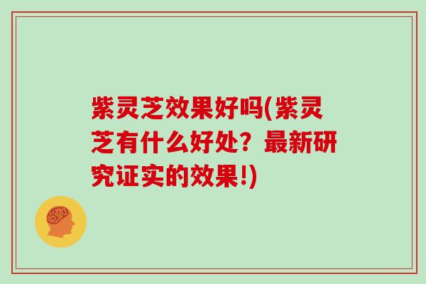 紫灵芝效果好吗(紫灵芝有什么好处？最新研究证实的效果!)