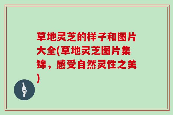 草地灵芝的样子和图片大全(草地灵芝图片集锦，感受自然灵性之美)