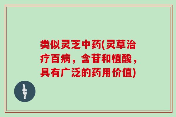 类似灵芝中药(灵草治疗百病，含苷和植酸，具有广泛的药用价值)