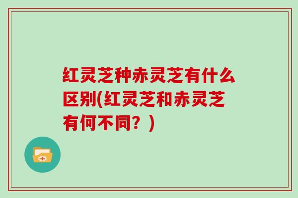 红灵芝种赤灵芝有什么区别(红灵芝和赤灵芝有何不同？)