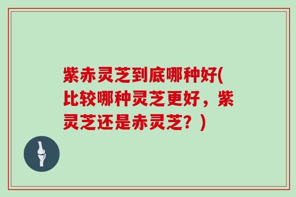紫赤灵芝到底哪种好(比较哪种灵芝更好，紫灵芝还是赤灵芝？)