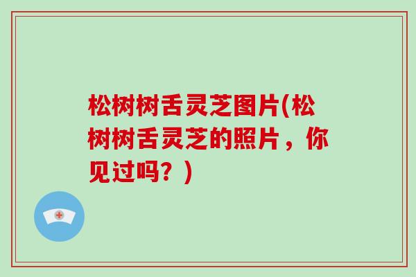 松树树舌灵芝图片(松树树舌灵芝的照片，你见过吗？)
