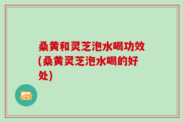 桑黄和灵芝泡水喝功效(桑黄灵芝泡水喝的好处)