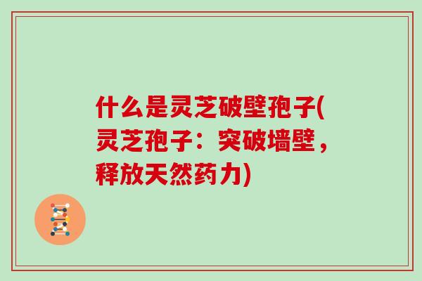 什么是灵芝破壁孢子(灵芝孢子：突破墙壁，释放天然药力)