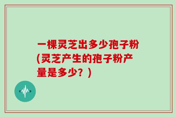 一棵灵芝出多少孢子粉(灵芝产生的孢子粉产量是多少？)