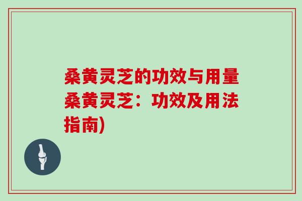 桑黄灵芝的功效与用量桑黄灵芝：功效及用法指南)