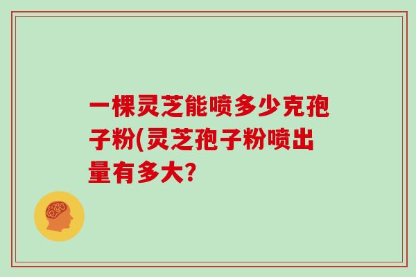 一棵灵芝能喷多少克孢子粉(灵芝孢子粉喷出量有多大？