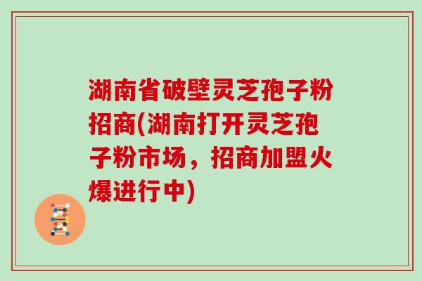湖南省破壁灵芝孢子粉招商(湖南打开灵芝孢子粉市场，招商加盟火爆进行中)-第1张图片-灵芝大师