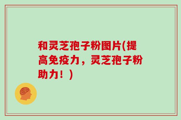 和灵芝孢子粉图片(提高免疫力，灵芝孢子粉助力！)