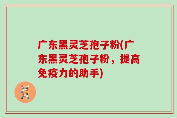 广东黑灵芝孢子粉(广东黑灵芝孢子粉，提高免疫力的助手)