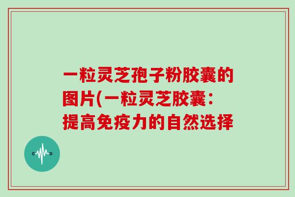 一粒灵芝孢子粉胶囊的图片(一粒灵芝胶囊：提高免疫力的自然选择