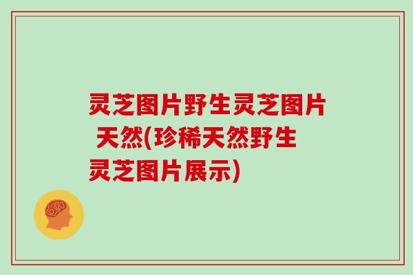灵芝图片野生灵芝图片 天然(珍稀天然野生灵芝图片展示)