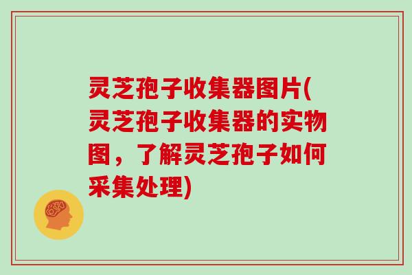 灵芝孢子收集器图片(灵芝孢子收集器的实物图，了解灵芝孢子如何采集处理)