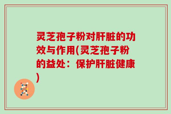 灵芝孢子粉对肝脏的功效与作用(灵芝孢子粉的益处：保护肝脏健康)