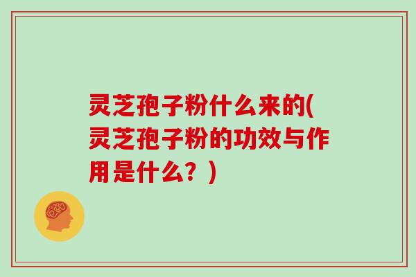灵芝孢子粉什么来的(灵芝孢子粉的功效与作用是什么？)
