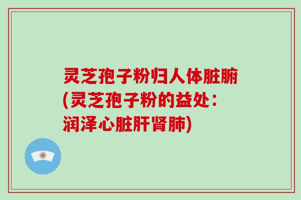 灵芝孢子粉归人体脏腑(灵芝孢子粉的益处：润泽心脏肝肾肺)