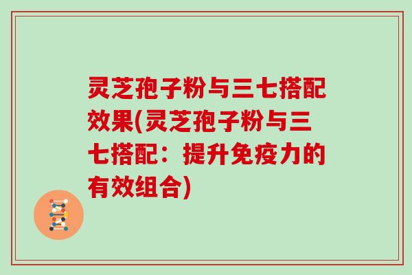 灵芝孢子粉与三七搭配效果(灵芝孢子粉与三七搭配:提升免疫力的有效组合)-第1张图片-灵芝大师 灵芝孢子粉与三七搭配效果(灵芝孢子粉与三七搭配:提升免疫力的有效组合)-第1张图片-灵芝大师