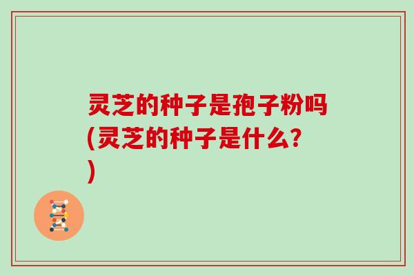 灵芝的种子是孢子粉吗(灵芝的种子是什么？)