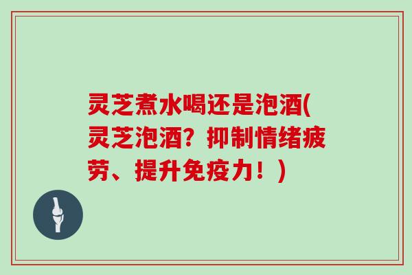 灵芝煮水喝还是泡酒(灵芝泡酒?抑制情绪疲劳、提升免疫力!)-第1张图片-灵芝大师 灵芝煮水喝还是泡酒(灵芝泡酒?抑制情绪疲劳、提升免疫力!)-第1张图片-灵芝大师