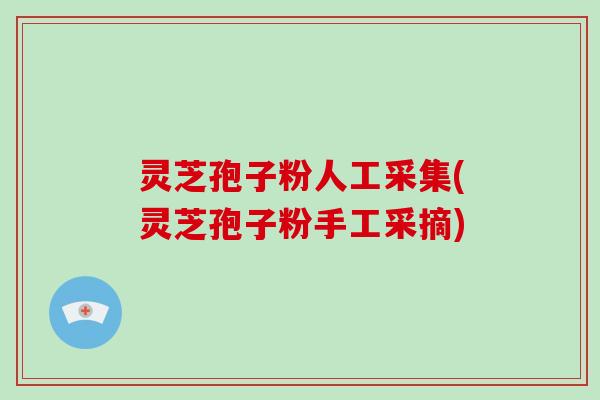 灵芝孢子粉人工采集(灵芝孢子粉手工采摘)
