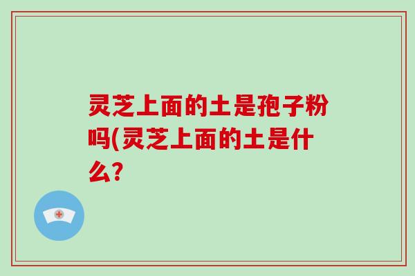 灵芝上面的土是孢子粉吗(灵芝上面的土是什么？