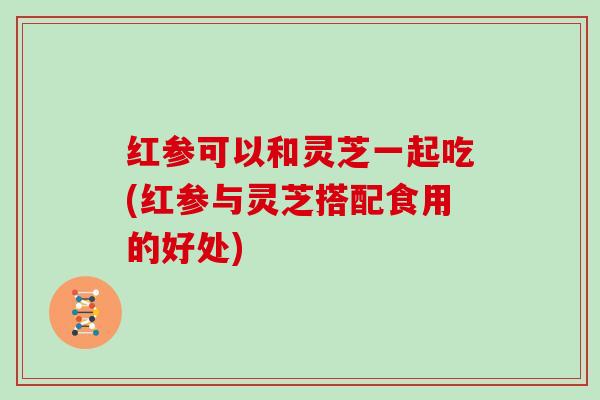 红参可以和灵芝一起吃(红参与灵芝搭配食用的好处)-第1张图片-灵芝大师 红参可以和灵芝一起吃(红参与灵芝搭配食用的好处)-第1张图片-灵芝大师