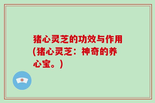 猪心灵芝的功效与作用(猪心灵芝：神奇的养心宝。)-第1张图片-灵芝大师