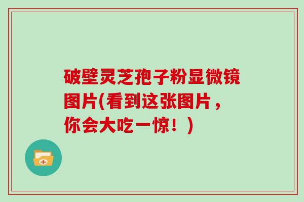 破壁灵芝孢子粉显微镜图片(看到这张图片，你会大吃一惊！)