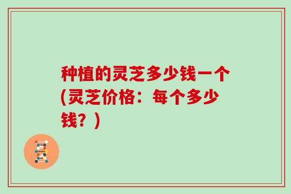 种植的灵芝多少钱一个(灵芝价格：每个多少钱？)