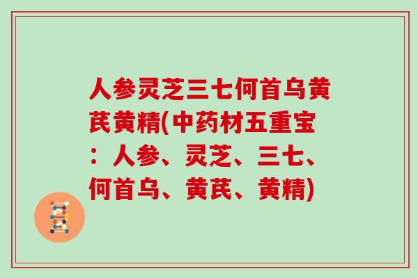 人参灵芝三七何首乌黄芪黄精(中药材五重宝:人参、灵芝、三七、何首乌、黄芪、黄精)-第1张图片-灵芝大师 人参灵芝三七何首乌黄芪黄精(中药材五重宝:人参、灵芝、三七、何首乌、黄芪、黄精)-第1张图片-灵芝大师