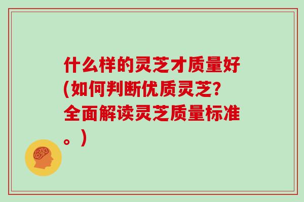 什么样的灵芝才质量好(如何判断优质灵芝？全面解读灵芝质量标准。)