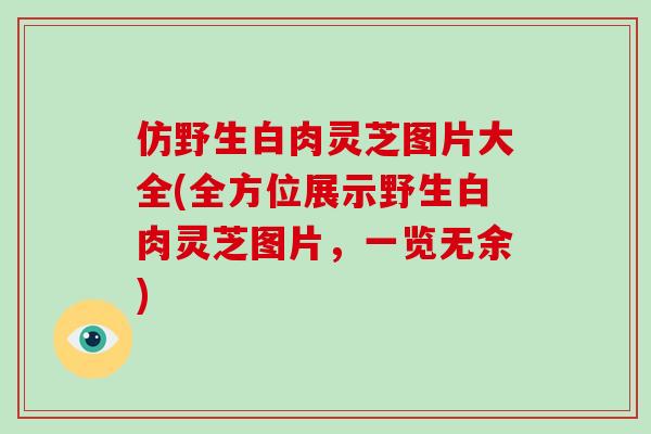 仿野生白肉灵芝图片大全(全方位展示野生白肉灵芝图片，一览无余)