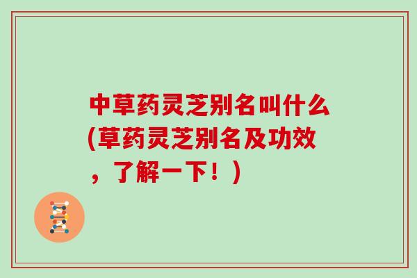 中草药灵芝别名叫什么(草药灵芝别名及功效，了解一下！)