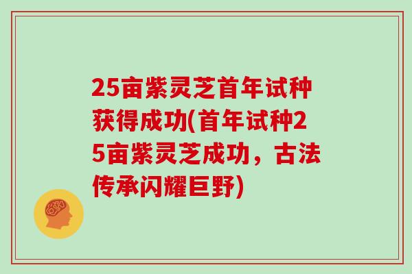 25亩紫灵芝首年试种获得成功(首年试种25亩紫灵芝成功，古法传承闪耀巨野)