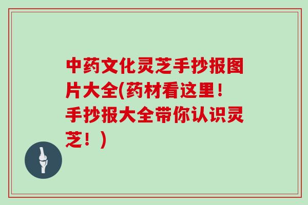 中药文化灵芝手抄报图片大全(药材看这里！手抄报大全带你认识灵芝！)