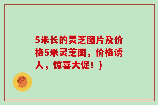 5米长的灵芝图片及价格5米灵芝图,价格诱人,惊喜大促!)-第1张图片-灵芝大师 5米长的灵芝图片及价格5米灵芝图,价格诱人,惊喜大促!)-第1张图片-灵芝大师
