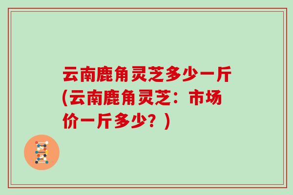 云南鹿角灵芝多少一斤(云南鹿角灵芝:市场价一斤多少?)-第1张图片-灵芝大师 云南鹿角灵芝多少一斤(云南鹿角灵芝:市场价一斤多少?)-第1张图片-灵芝大师