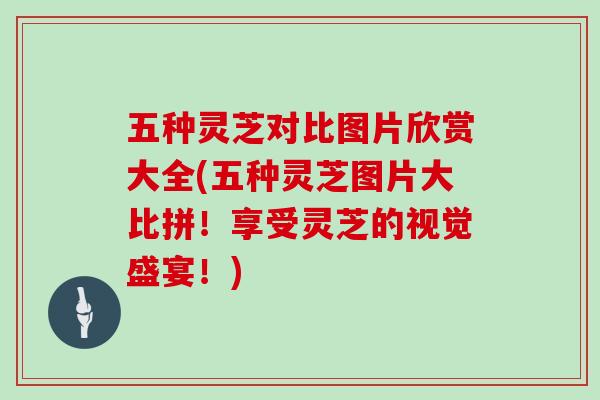 五种灵芝对比图片欣赏大全(五种灵芝图片大比拼！享受灵芝的视觉盛宴！)