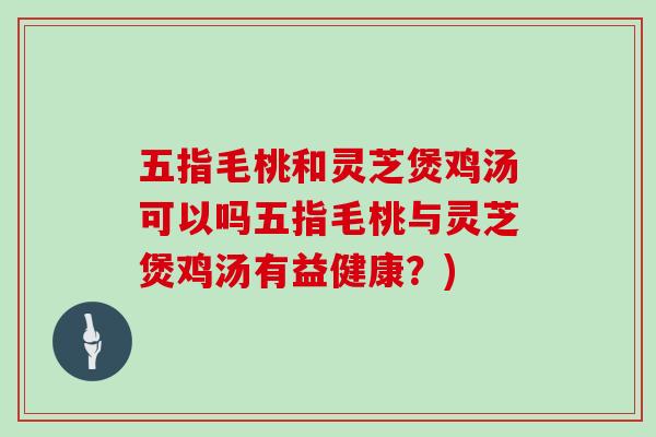 五指毛桃和灵芝煲鸡汤可以吗五指毛桃与灵芝煲鸡汤有益健康？)