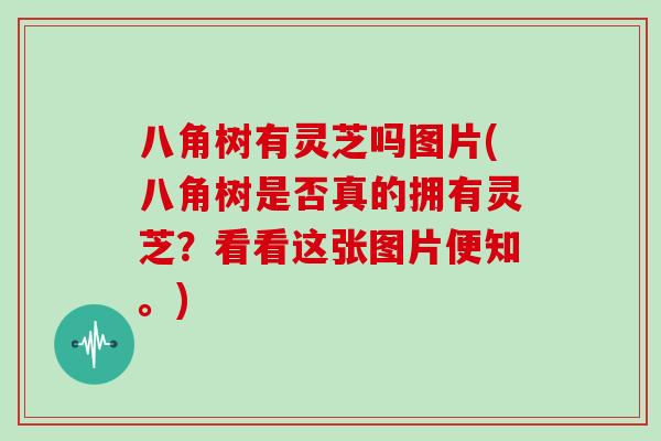 八角树有灵芝吗图片(八角树是否真的拥有灵芝？看看这张图片便知。)