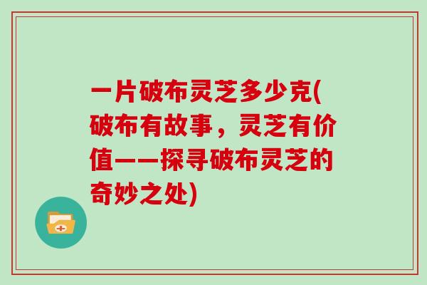 一片破布灵芝多少克(破布有故事，灵芝有价值——探寻破布灵芝的奇妙之处)