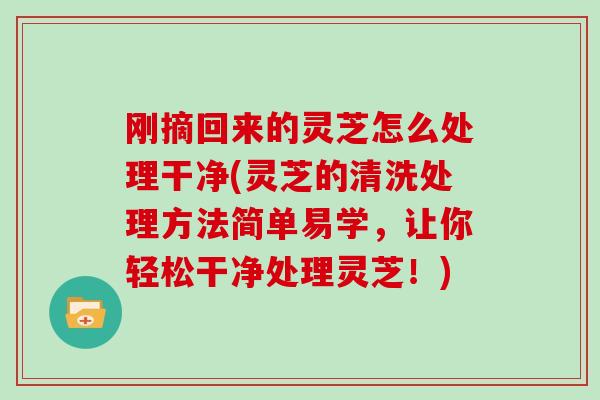 刚摘回来的灵芝怎么处理干净(灵芝的清洗处理方法简单易学，让你轻松干净处理灵芝！)