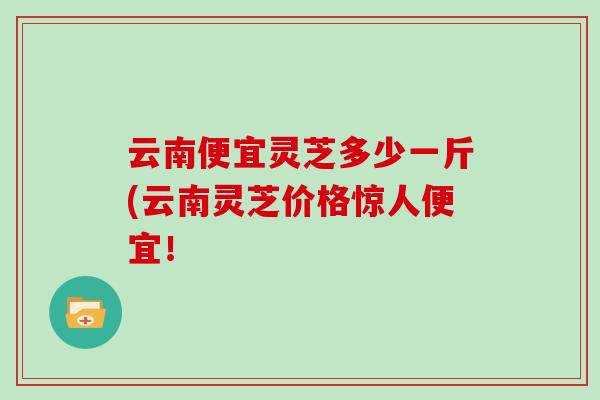 云南便宜灵芝多少一斤(云南灵芝价格惊人便宜！